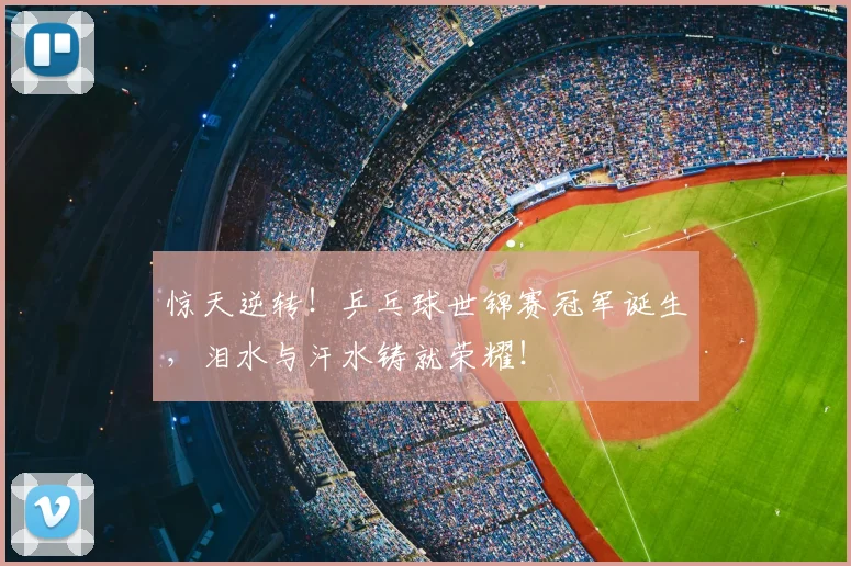 惊天逆转！乒乓球世锦赛冠军诞生，泪水与汗水铸就荣耀！
